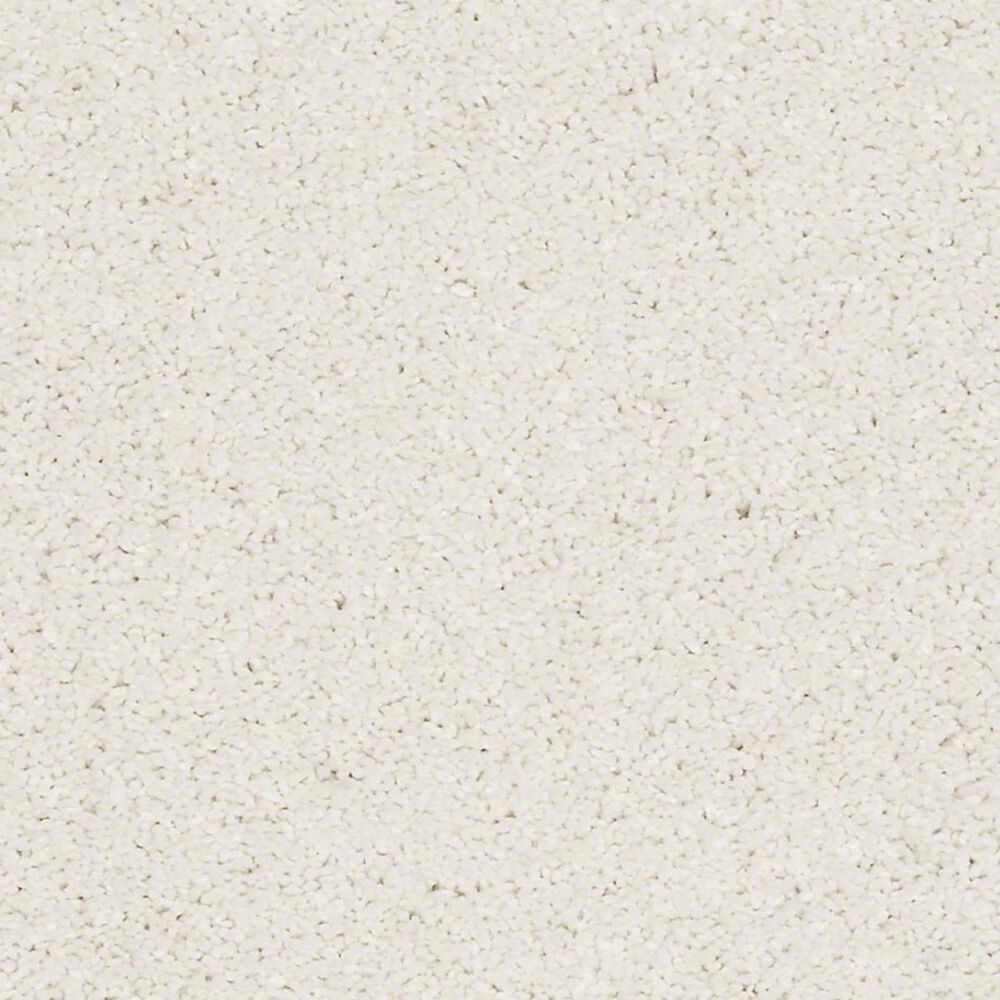 Anderson Tuftex Barracan Classic II Carpet in Icelandic