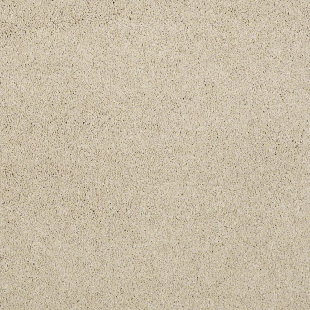 Anderson Tuftex Barracan Classic II Carpet in Yearling