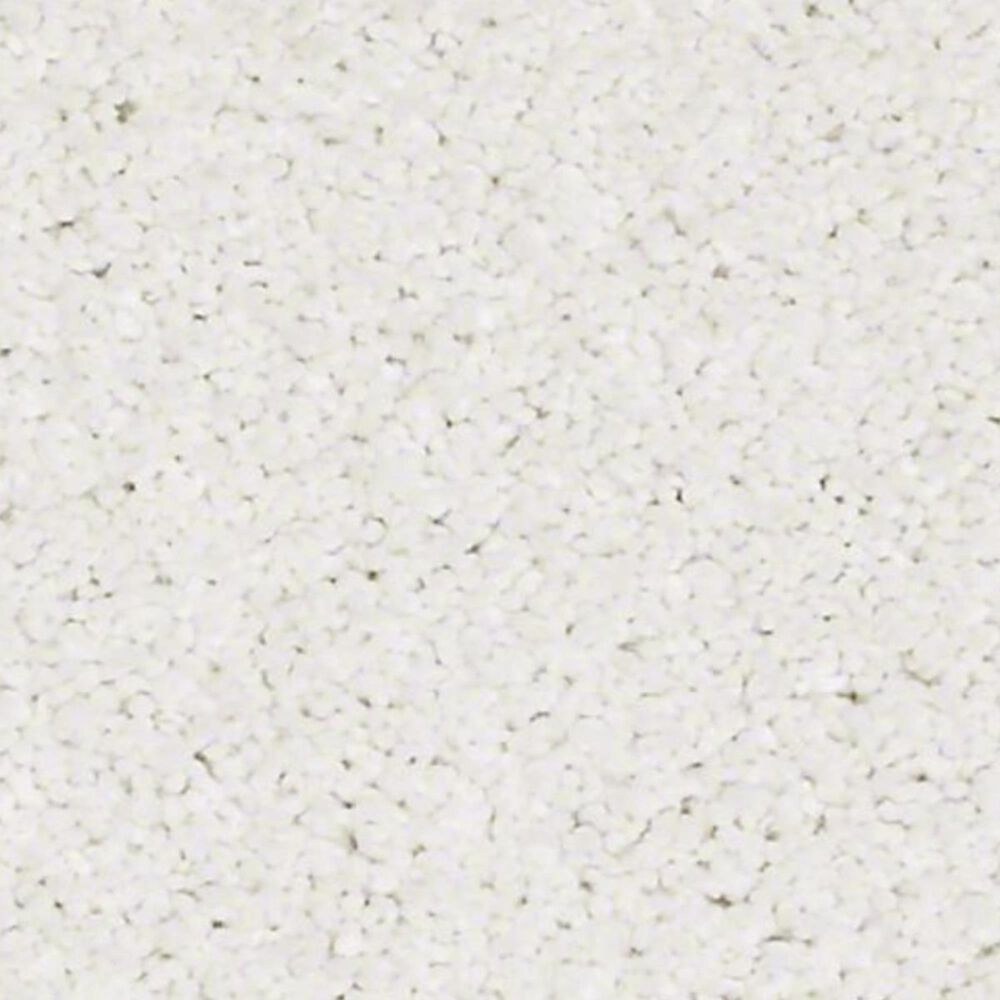 Anderson Tuftex Barracan Classic II Carpet in Crisp