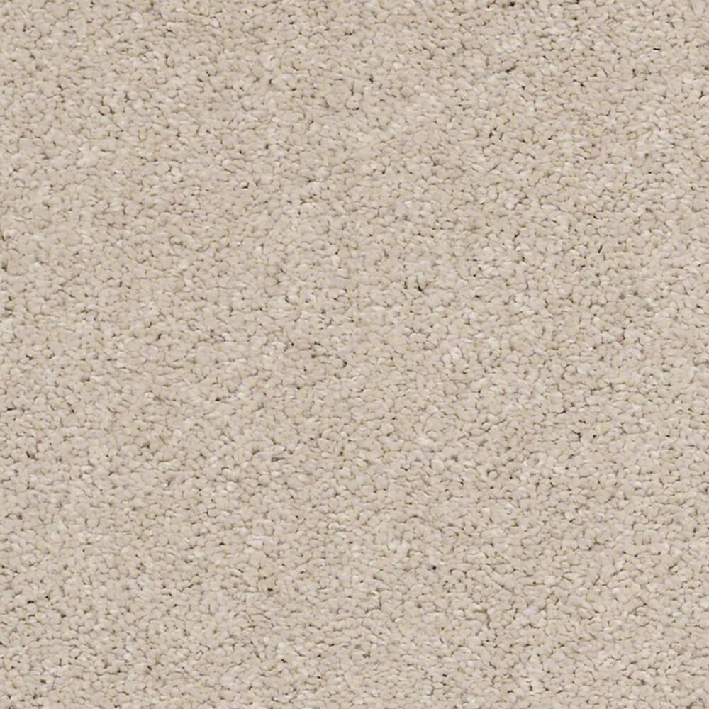 Anderson Tuftex Barracan Classic II Carpet in Harvest Moon