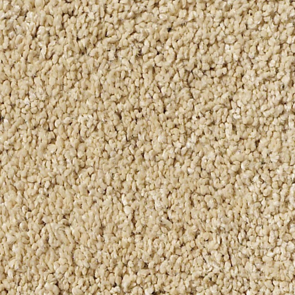 Anderson Tuftex Barracan Classic II Carpet in Manilla