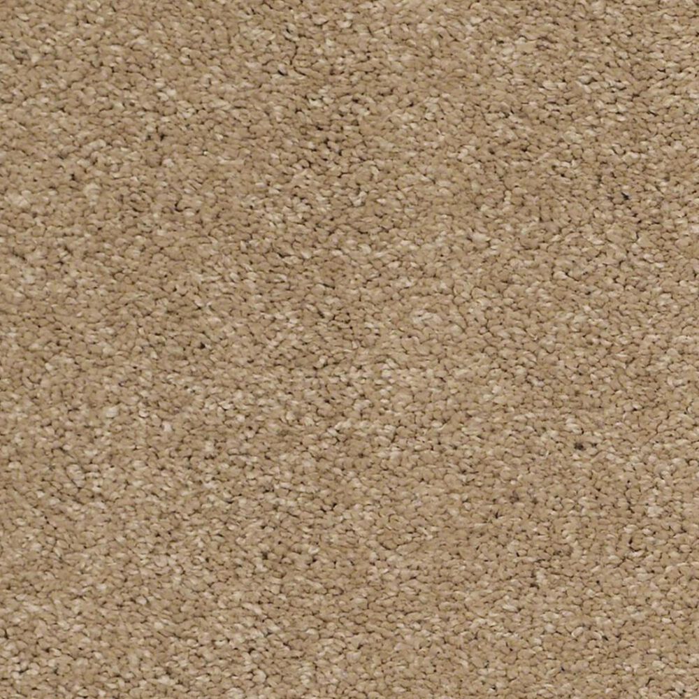 Anderson Tuftex Barracan Classic II Carpet in Brass Lantern