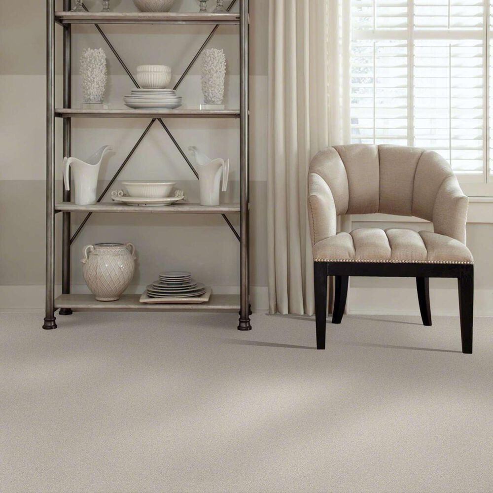 7313-anderson-tuftex-barracan-classic-ii-carpet-in-spearmint-1.jpg