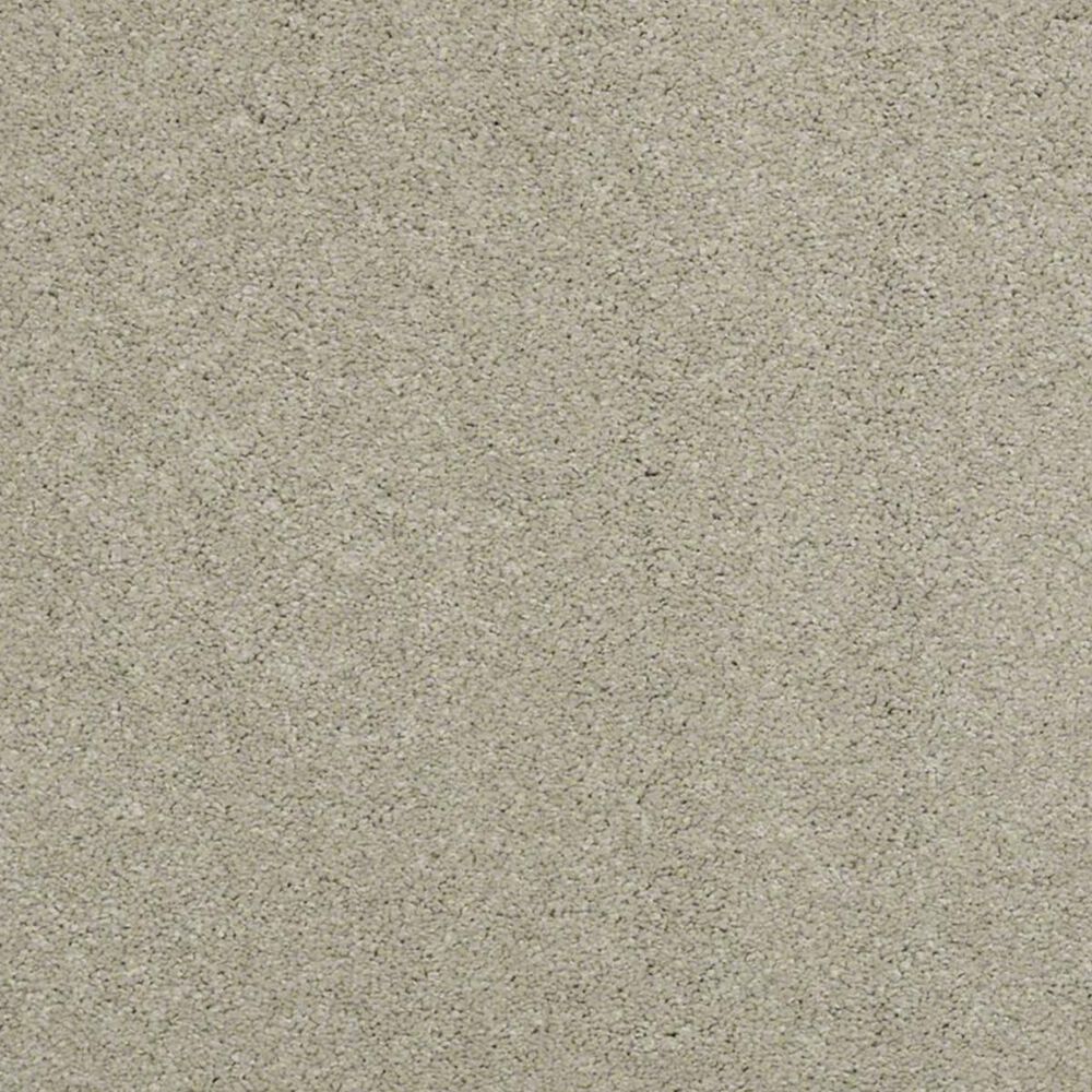 Anderson Tuftex Barracan Classic II Carpet in Spruce