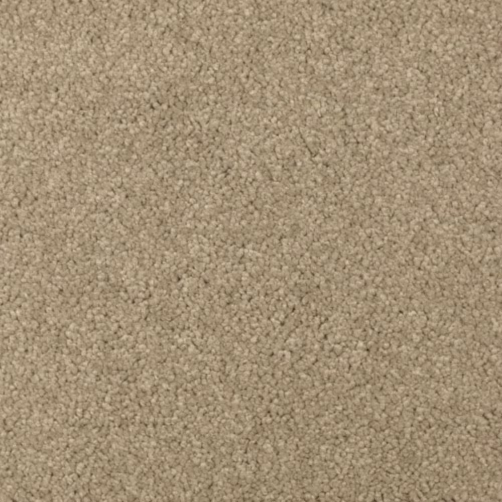Mohawk Windsor Gardens II Carpet in Brushed Suede