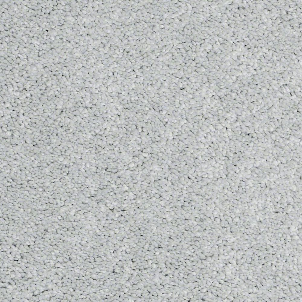 Anderson Tuftex Barracan Classic II Carpet in Beach Glass
