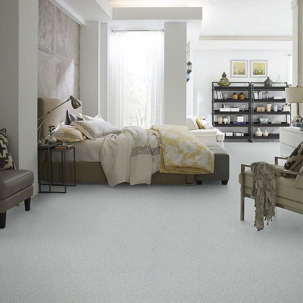 7318-anderson-tuftex-barracan-classic-ii-carpet-in-beach-glass-1.jpg