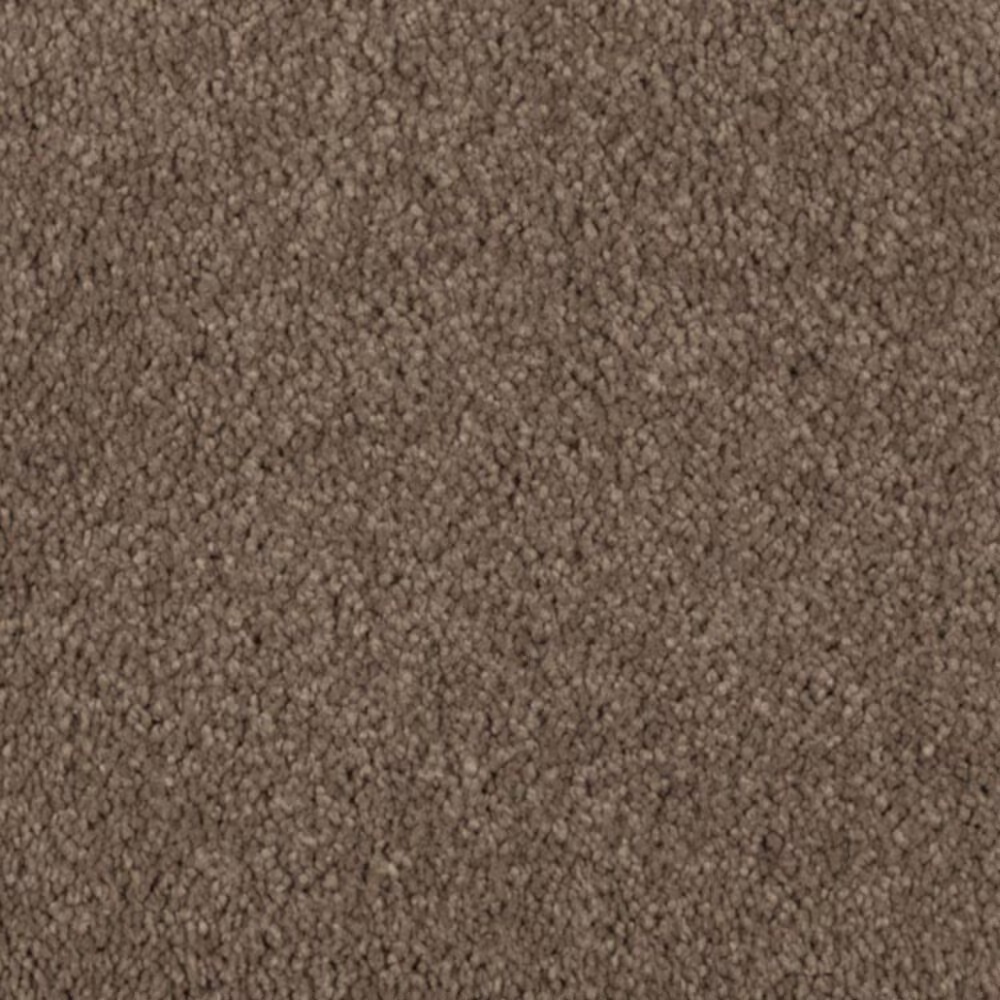 Mohawk Windsor Gardens II Carpet in Nutmeg