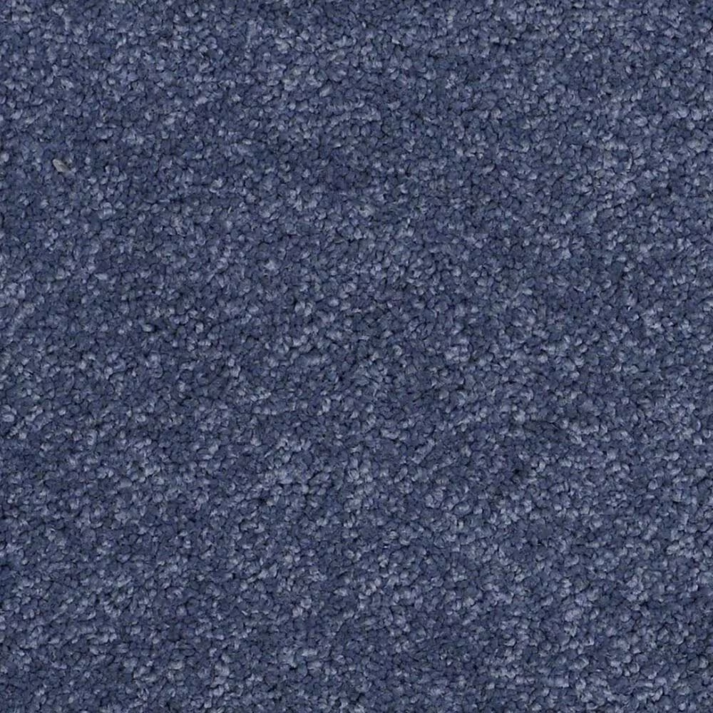 Anderson Tuftex Barracan Classic II Carpet in True Blue