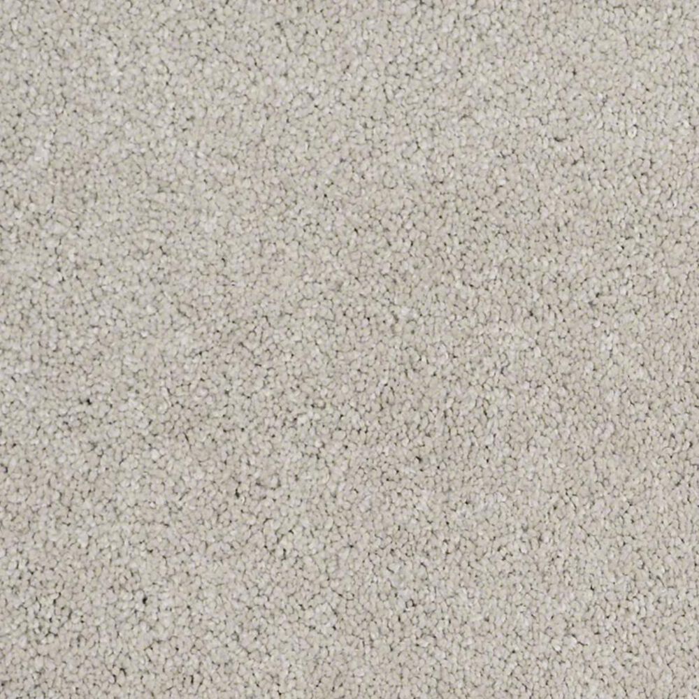 Anderson Tuftex Barracan Classic II Carpet in Sterling