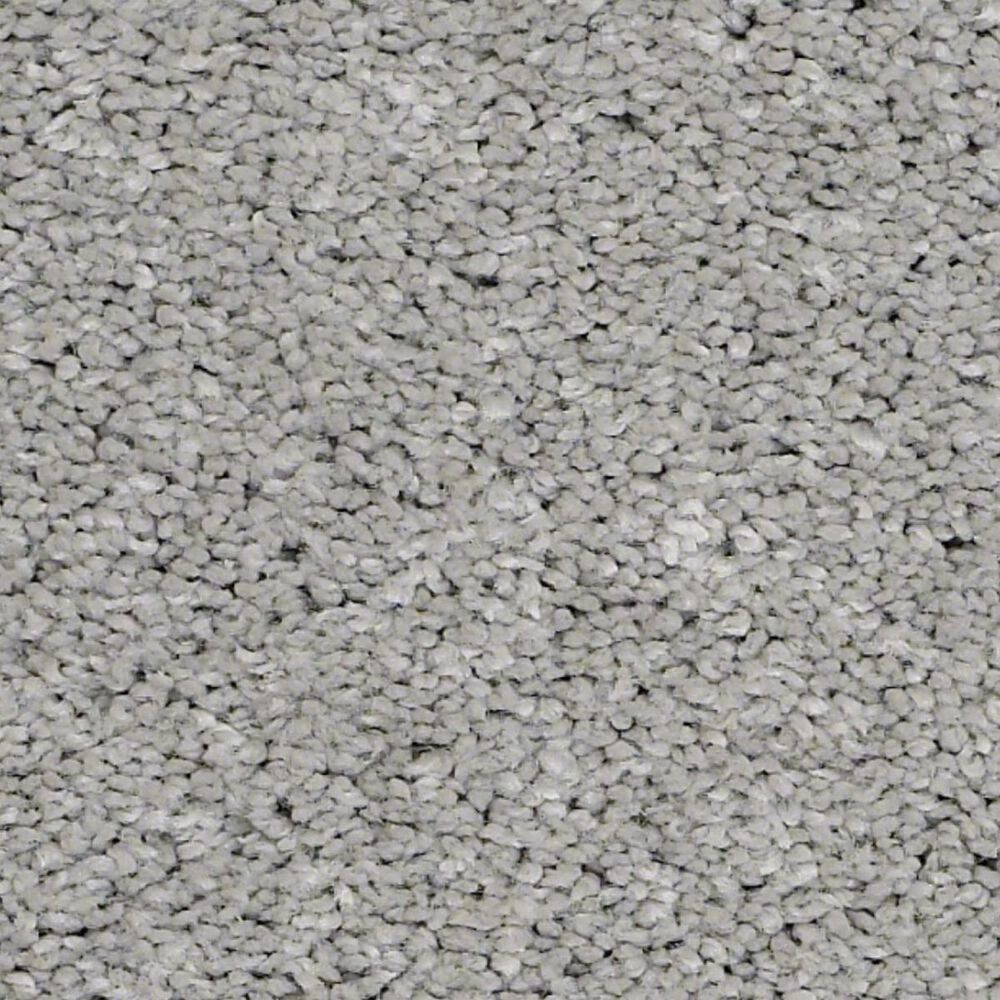 Anderson Tuftex Barracan Classic II Carpet in Haze