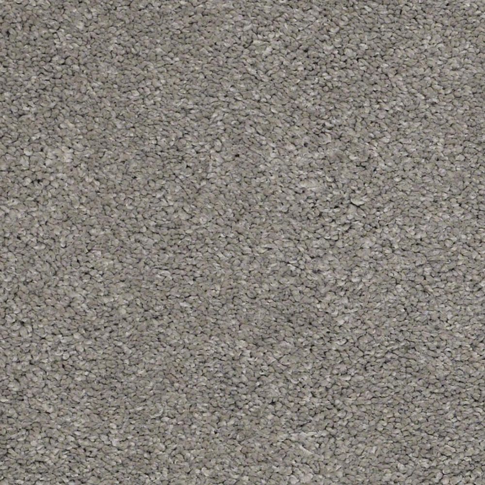 Anderson Tuftex Barracan Classic II Carpet in Barnboard