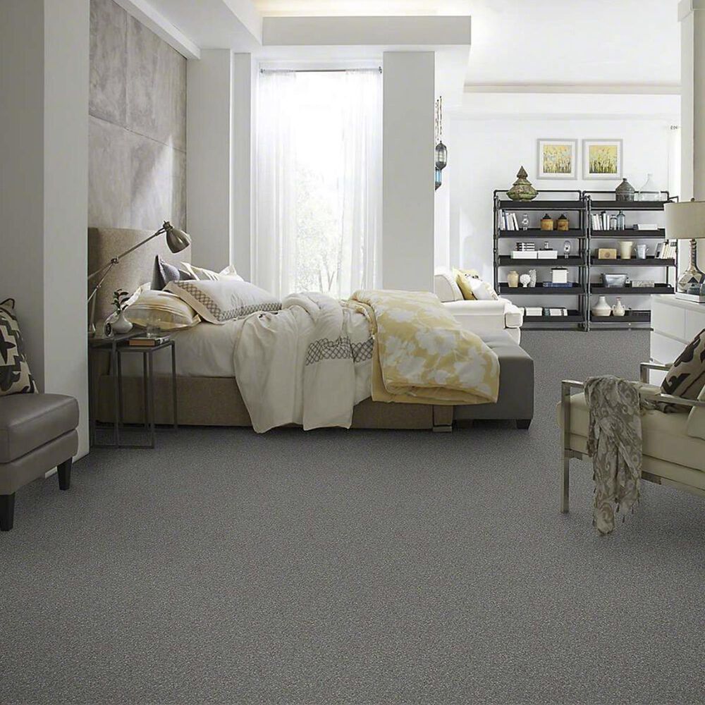 Anderson Tuftex Barracan Classic II Carpet in Shalestone