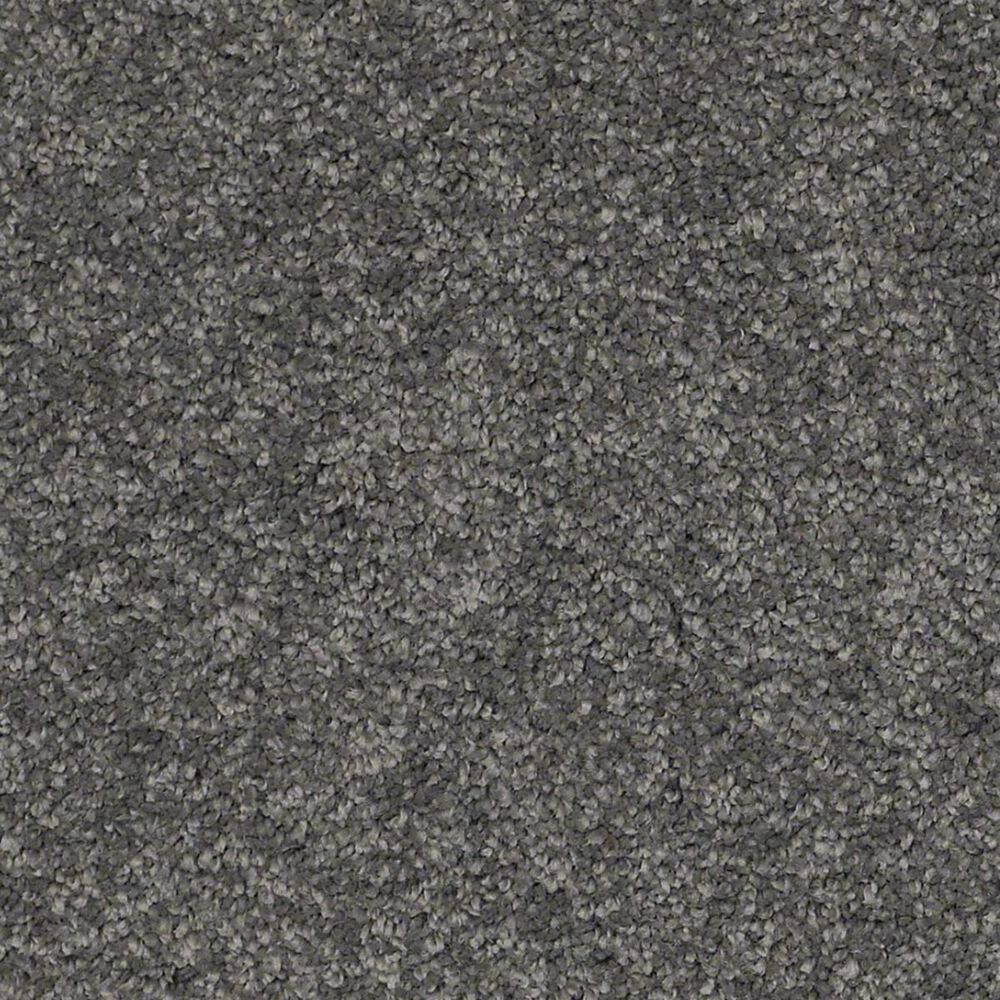 Anderson Tuftex Barracan Classic II Carpet in Onyx