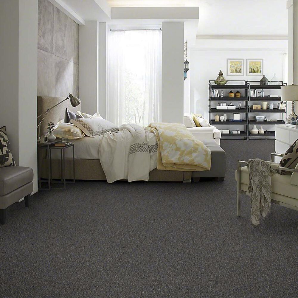 7333-anderson-tuftex-barracan-classic-ii-carpet-in-armory-1.jpg