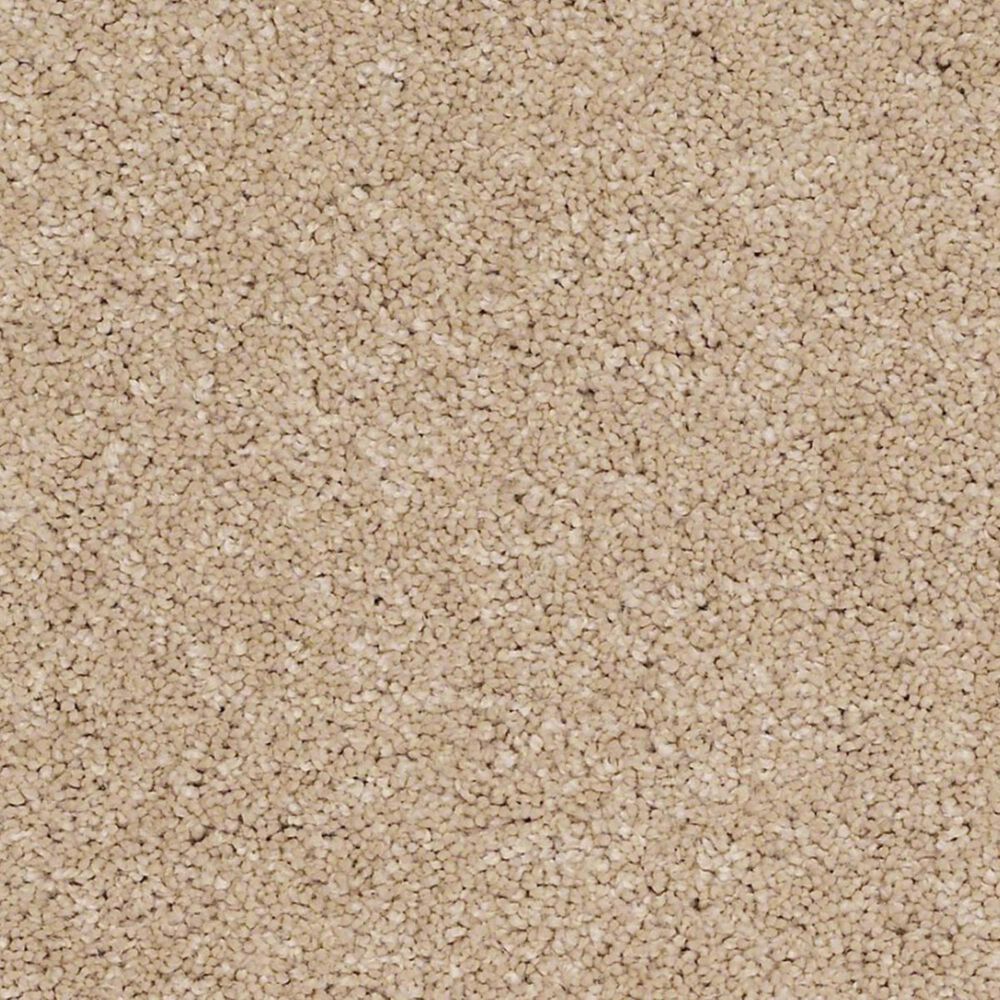 Anderson Tuftex Barracan Classic II Carpet in Maplewood North