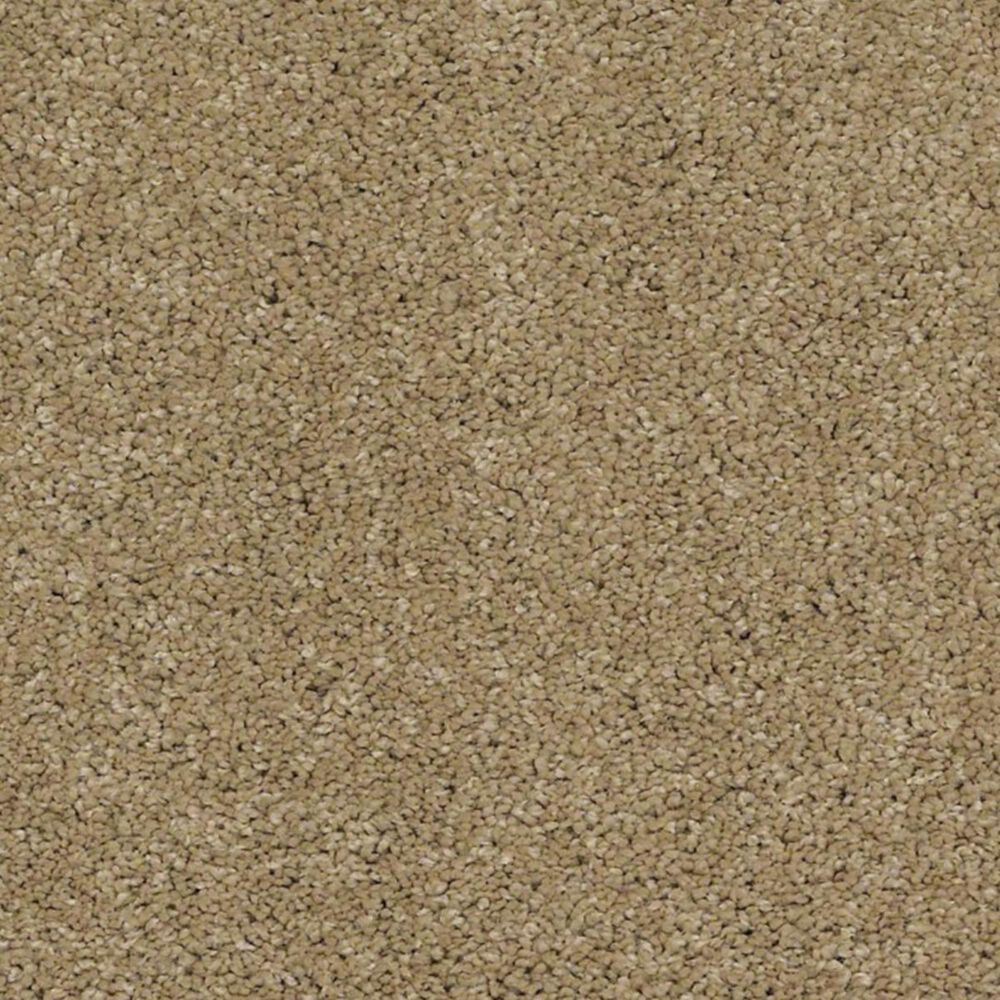 Anderson Tuftex Barracan Classic II Carpet in Navajo