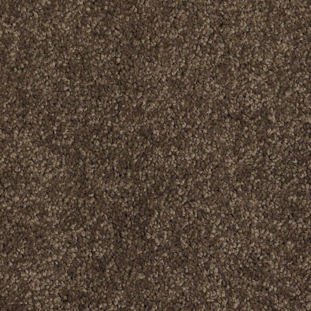 Anderson Tuftex Barracan Classic II Carpet in Bison