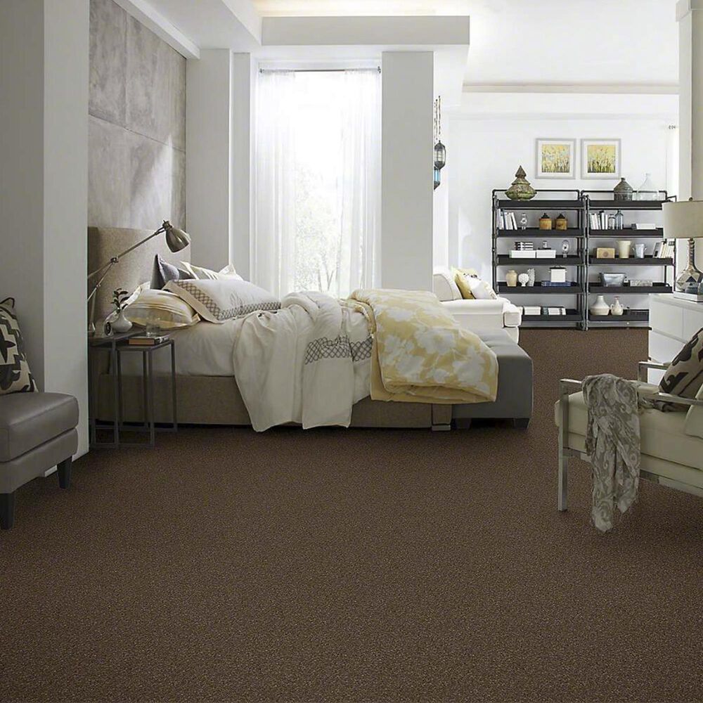 7337-anderson-tuftex-barracan-classic-ii-carpet-in-bison-1.jpg