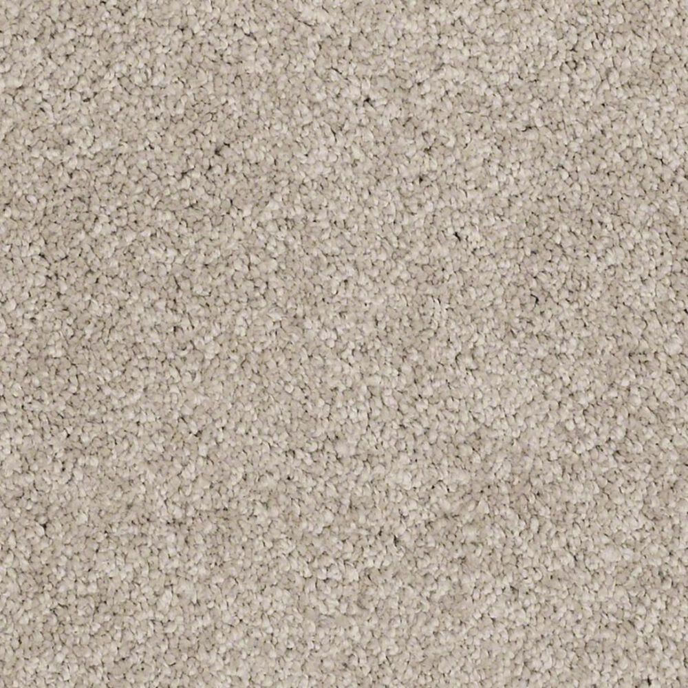 Anderson Tuftex Barracan Classic II Carpet in White Pine