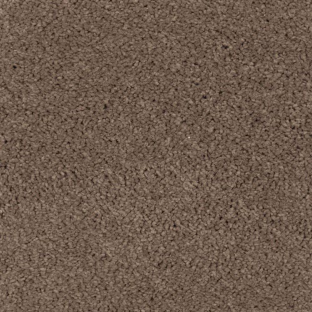 Mohawk Windsor Gardens II Carpet in Rich Earth