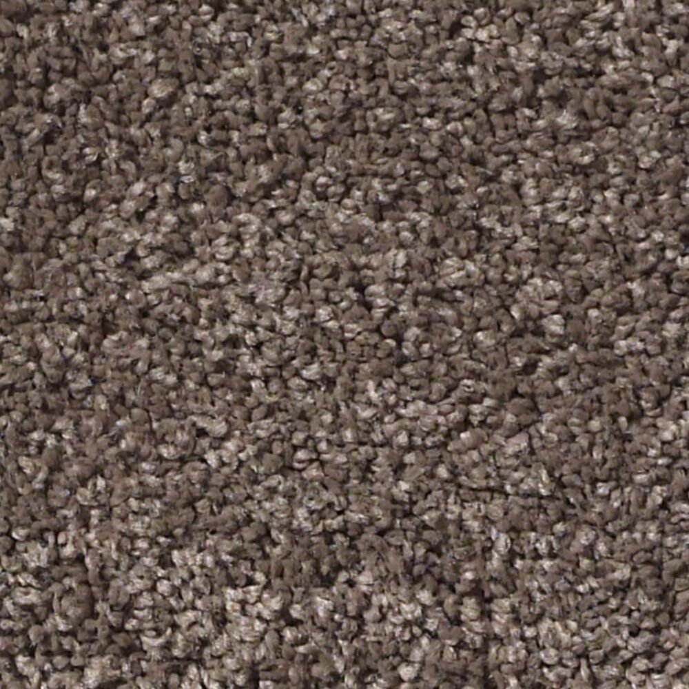 Anderson Tuftex Barracan Classic II Carpet in Spring Wood