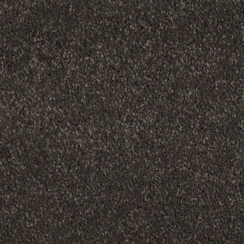 Anderson Tuftex Barracan Classic II Carpet in Chestnut