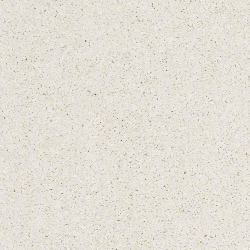 Anderson Tuftex Barracan Classic I Carpet in Icelandic