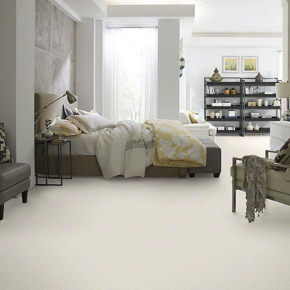 7348-anderson-tuftex-barracan-classic-i-carpet-in-icelandic-1.jpg