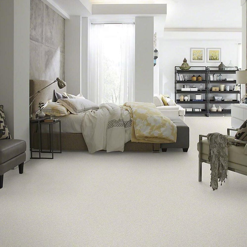 7349-anderson-tuftex-barracan-classic-i-carpet-in-suffolk-1.jpg