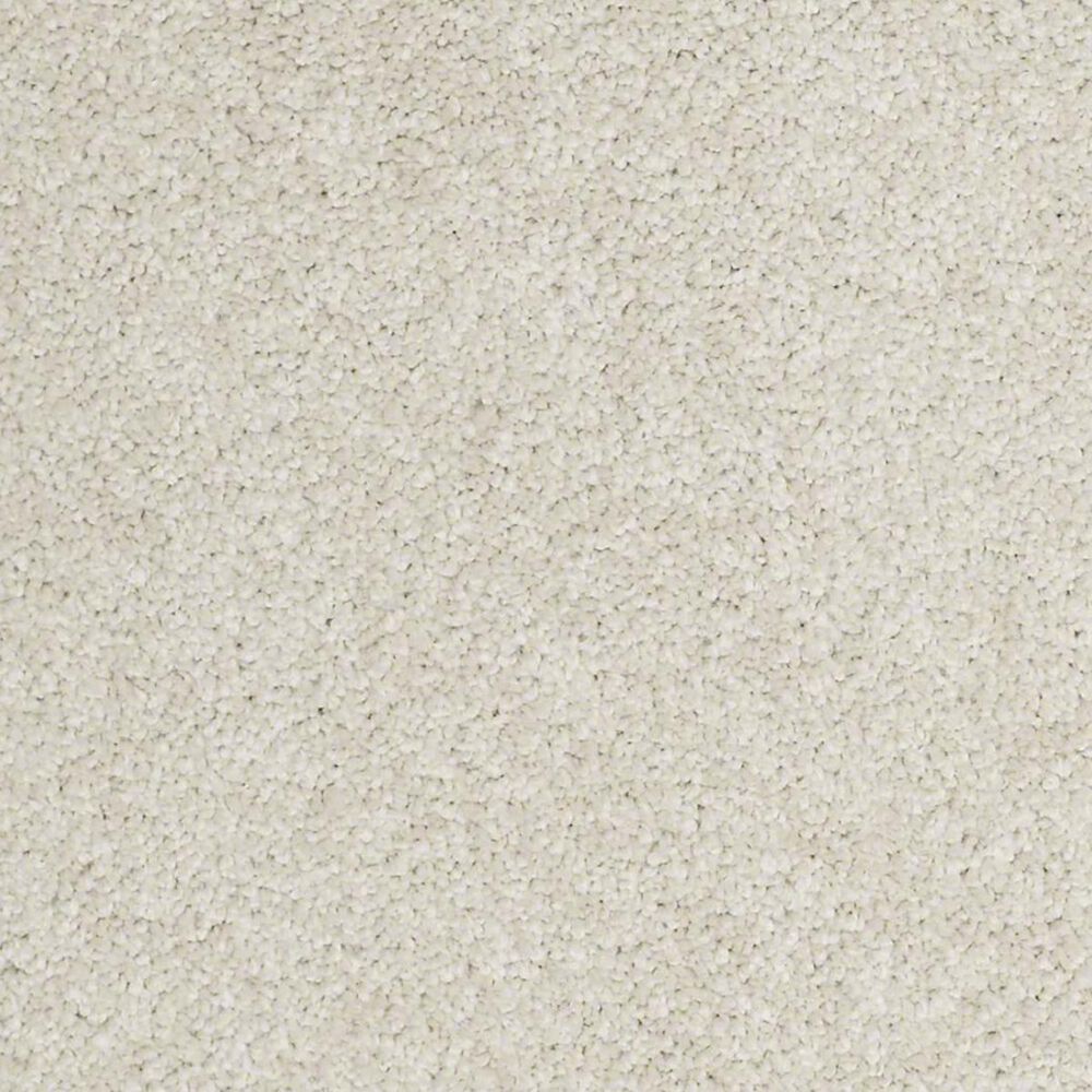 Anderson Tuftex Barracan Classic I Carpet in Cheviot