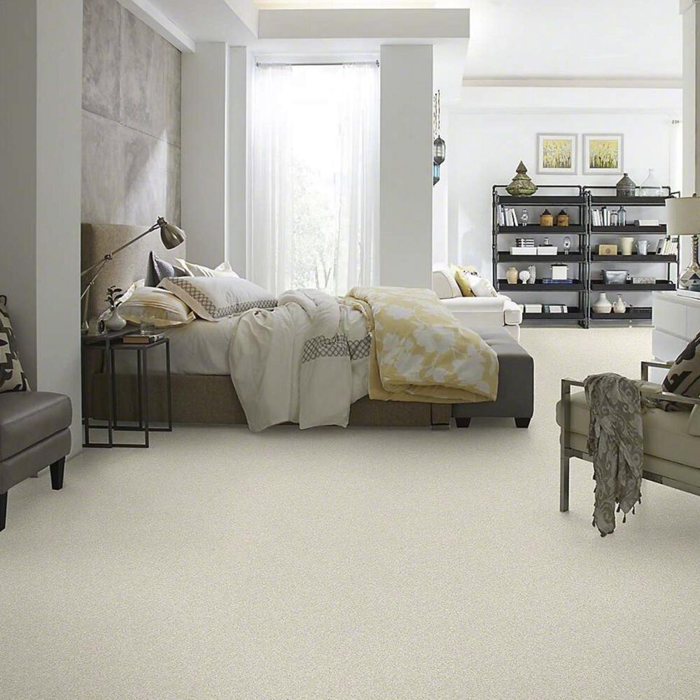 7350-anderson-tuftex-barracan-classic-i-carpet-in-cheviot-1.jpg