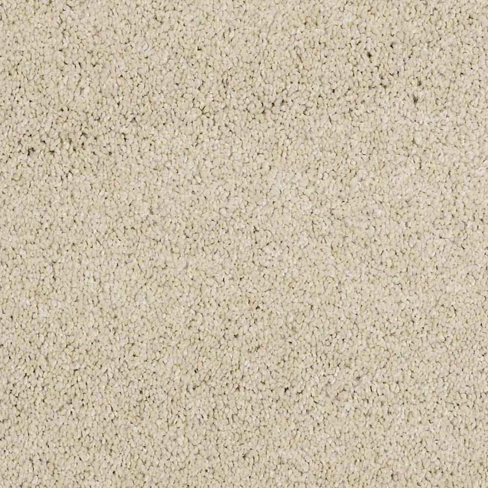 Anderson Tuftex Barracan Classic I Carpet in Yearling