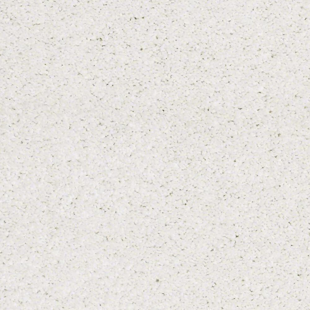 Anderson Tuftex Barracan Classic I Carpet in Crisp