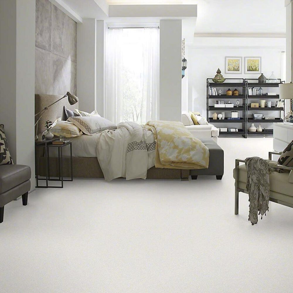 7352-anderson-tuftex-barracan-classic-i-carpet-in-crisp-1.jpg