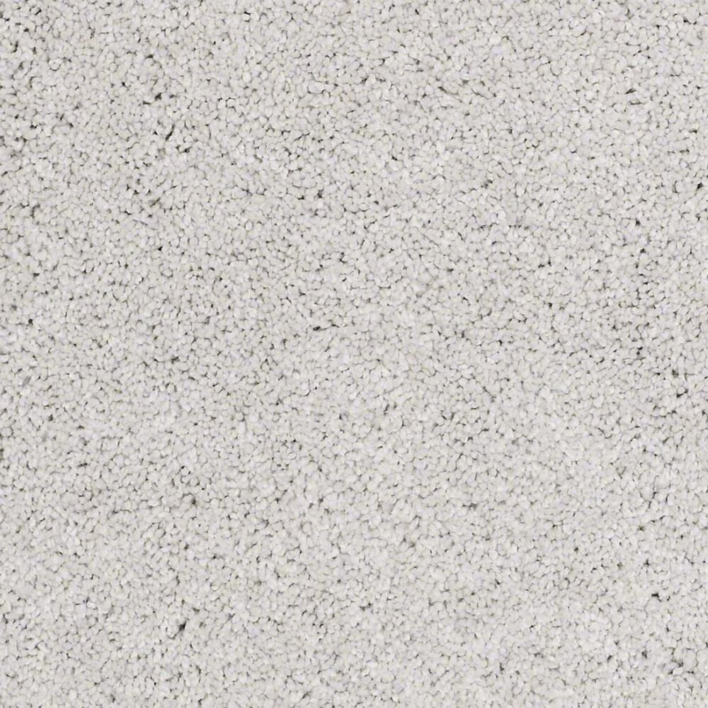 Anderson Tuftex Barracan Classic I Carpet in Silver Lining