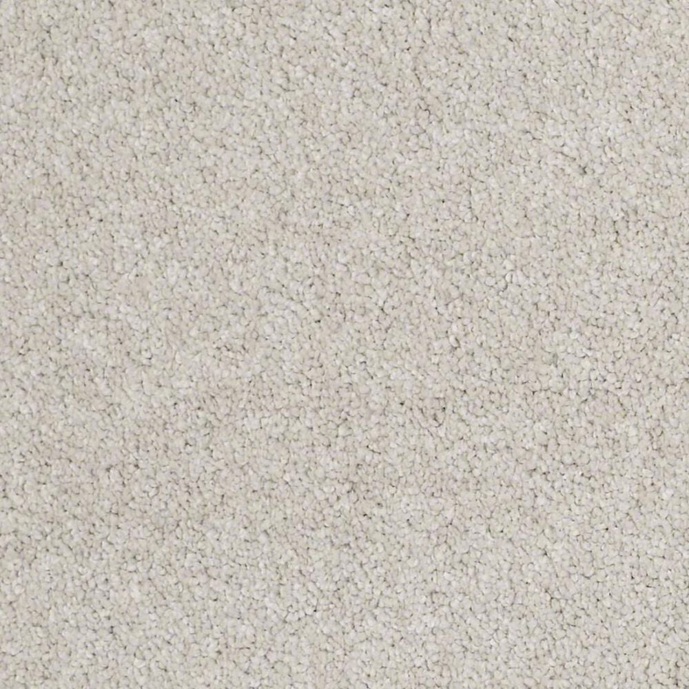 Anderson Tuftex Barracan Classic I Carpet in Bismuth