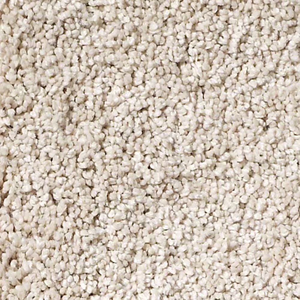 Anderson Tuftex Barracan Classic I Carpet in Blush