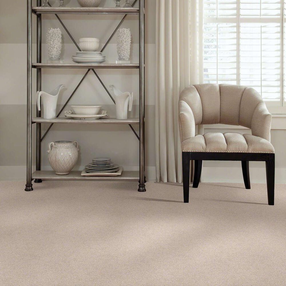 7357-anderson-tuftex-barracan-classic-i-carpet-in-blush-1.jpg