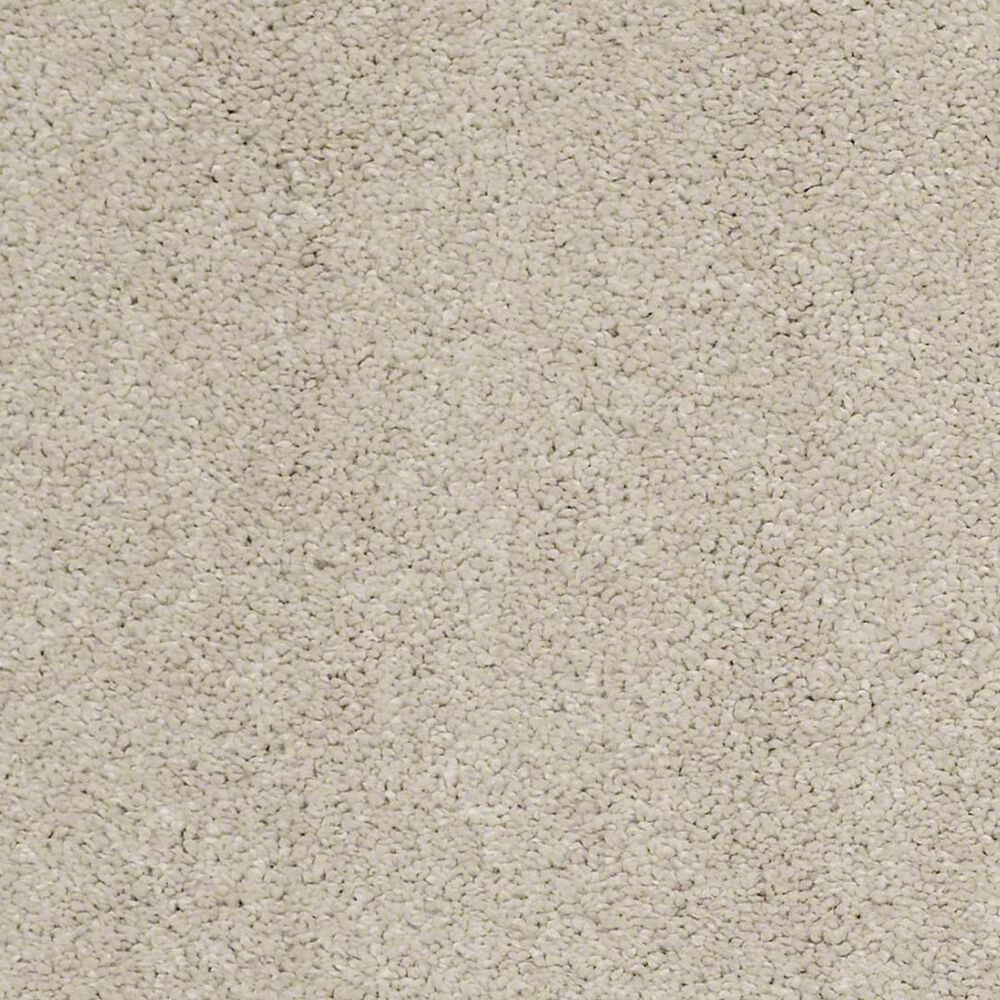 Anderson Tuftex Barracan Classic I Carpet in Suede