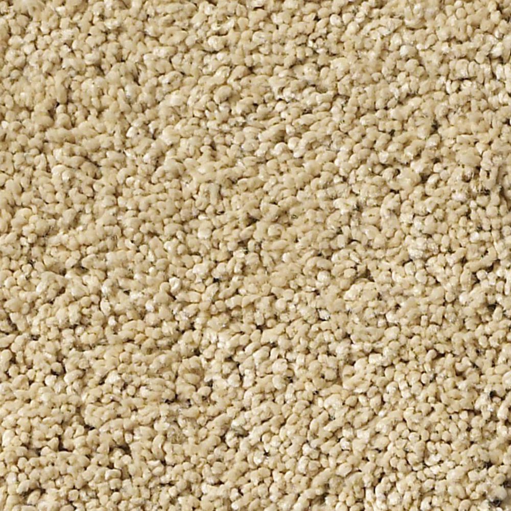 Anderson Tuftex Barracan Classic I Carpet in Manilla