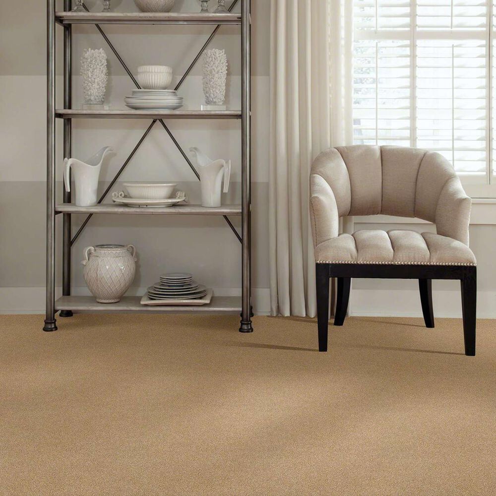 7361-anderson-tuftex-barracan-classic-i-carpet-in-manilla-1.jpg