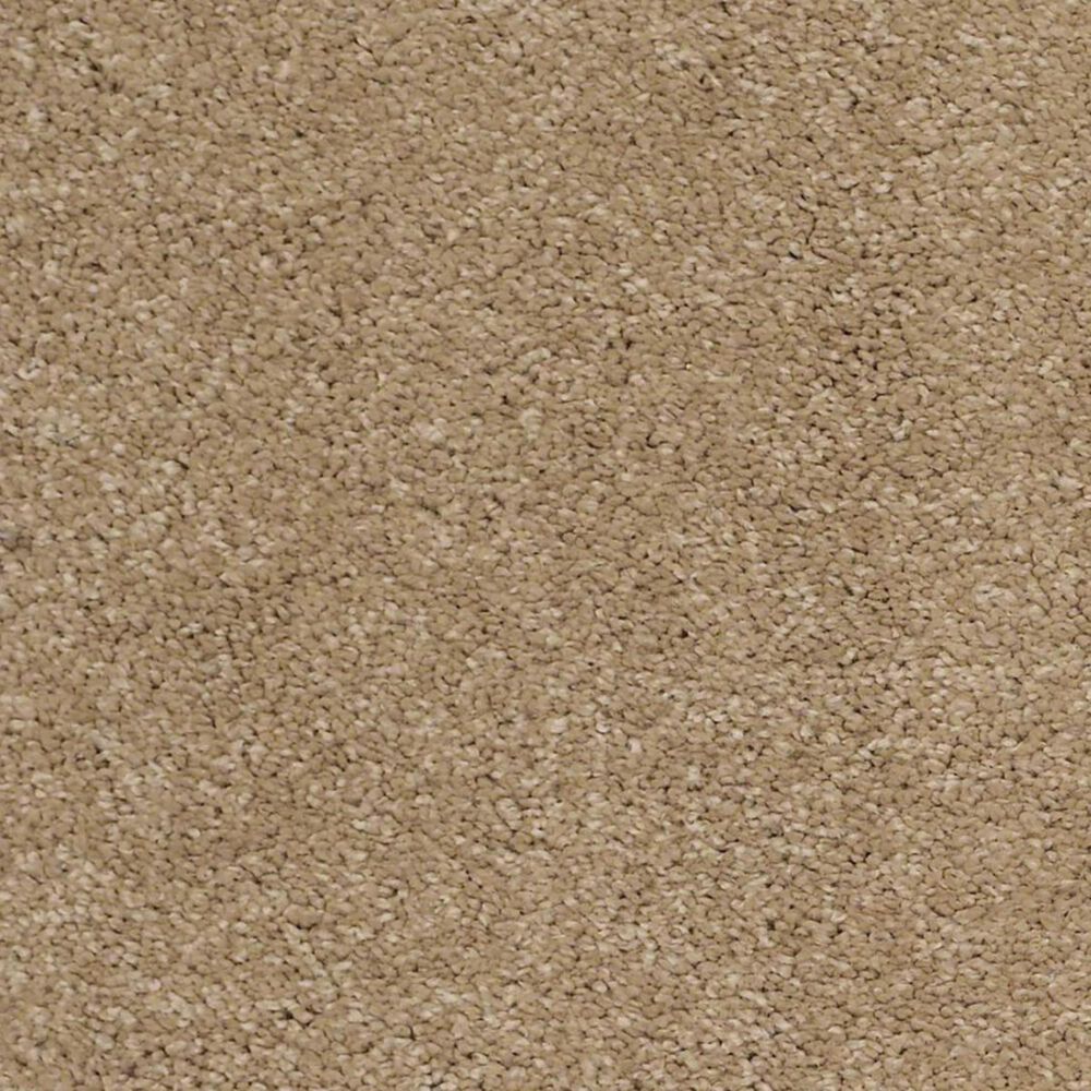 Anderson Tuftex Barracan Classic I Carpet in Brass Lantern