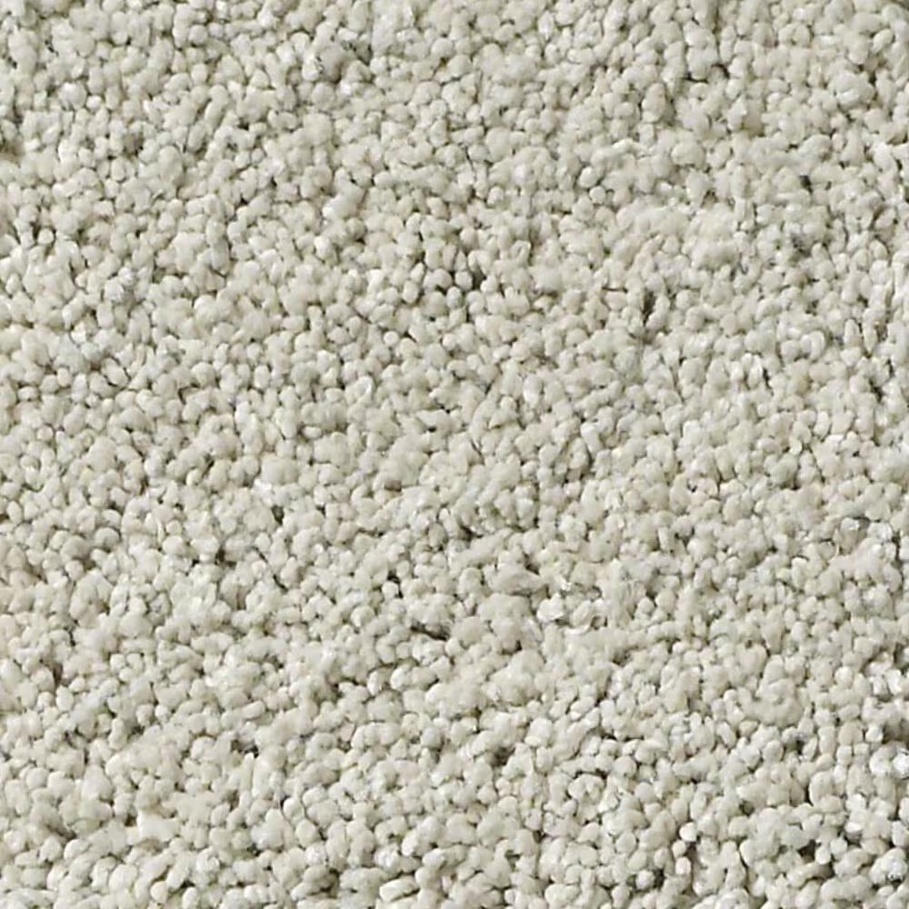 Anderson Tuftex Barracan Classic I Carpet in Spearmint
