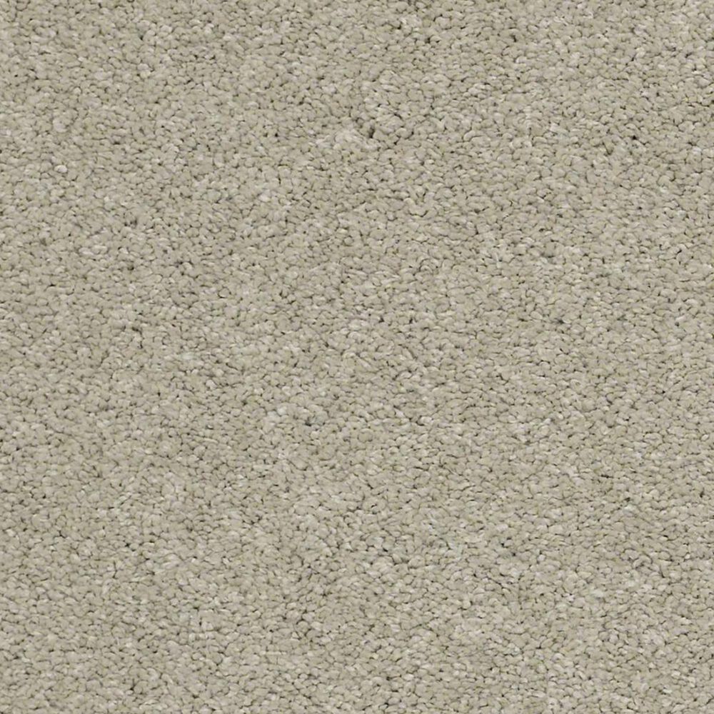 Anderson Tuftex Barracan Classic I Carpet in Spruce