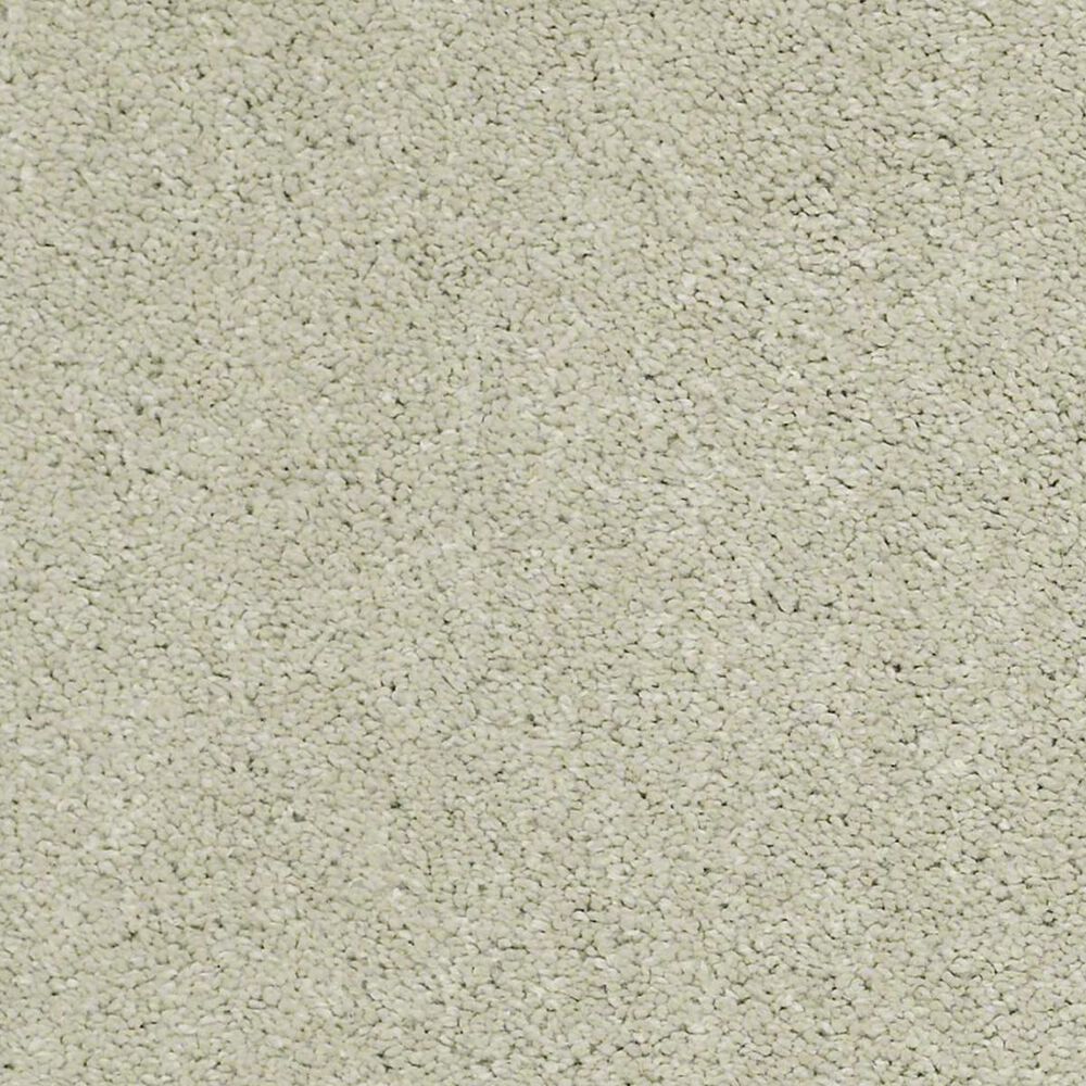 Anderson Tuftex Barracan Classic I Carpet in Celadon