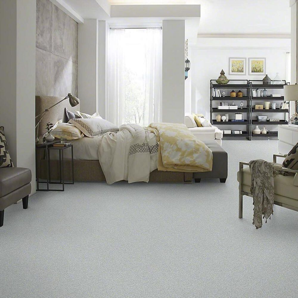 7368-anderson-tuftex-barracan-classic-i-carpet-in-beach-glass-1.jpg