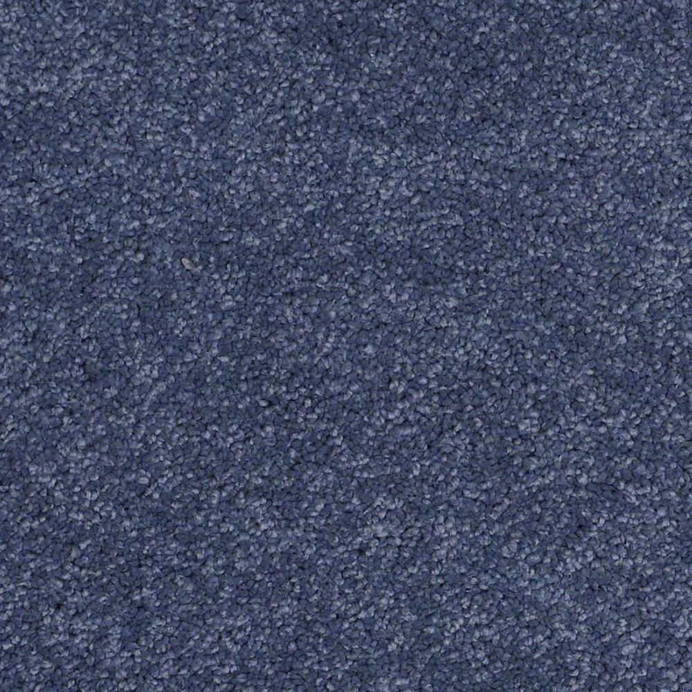 Anderson Tuftex Barracan Classic I Carpet in True Blue