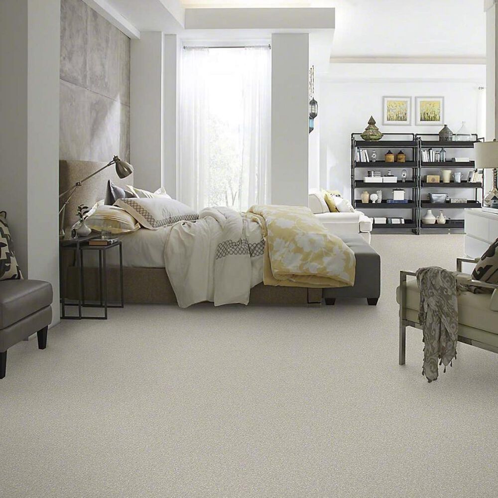 7373-anderson-tuftex-barracan-classic-i-carpet-in-sterling-1.jpg