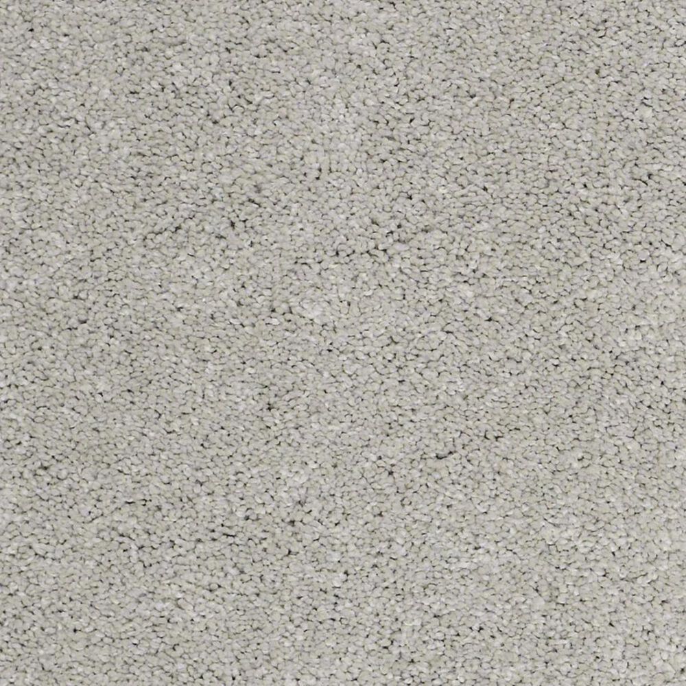 Anderson Tuftex Barracan Classic I Carpet in Froth